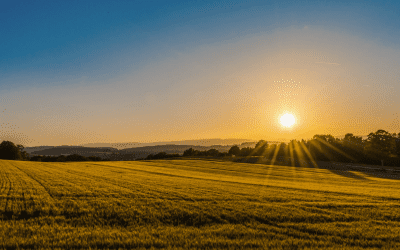 How to Claim Land And Property … For Free!