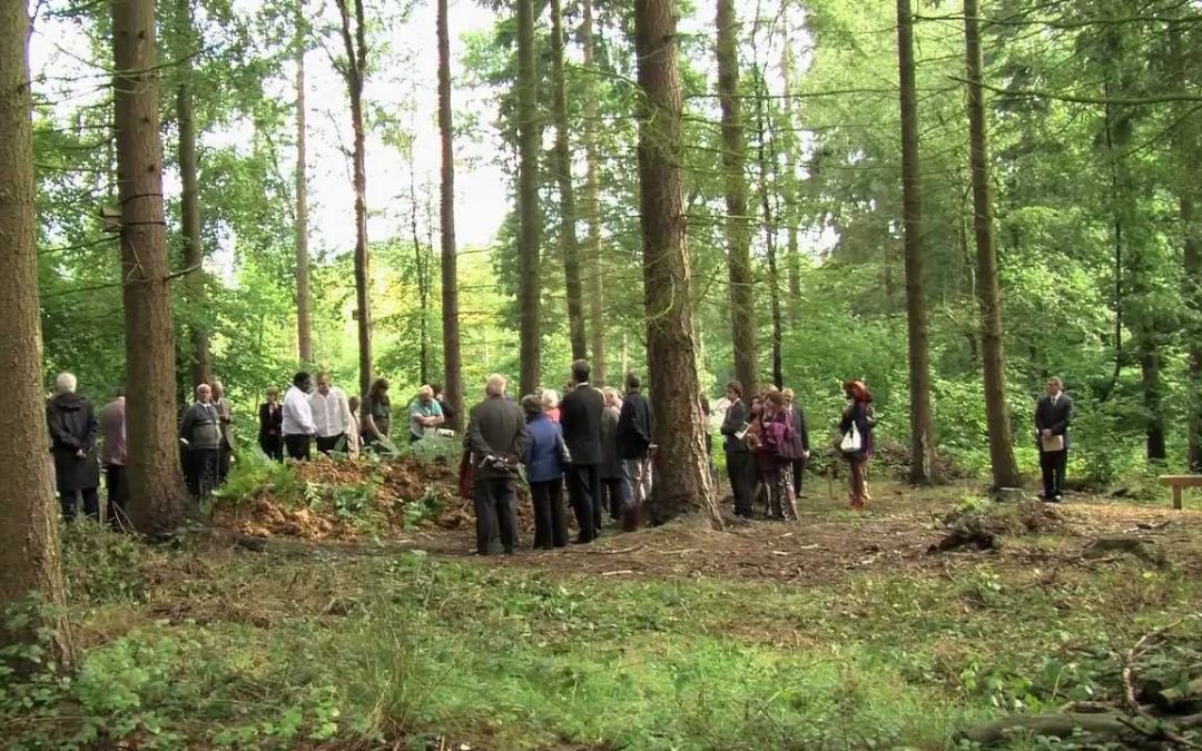 What You Need To Know About Woodland Burials