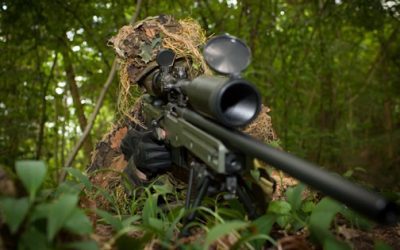 Sniping on Online Auctions: Understanding the Strategy and Implications