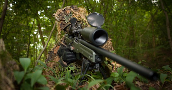 Sniping on Online Auctions: Understanding the Strategy and Implications