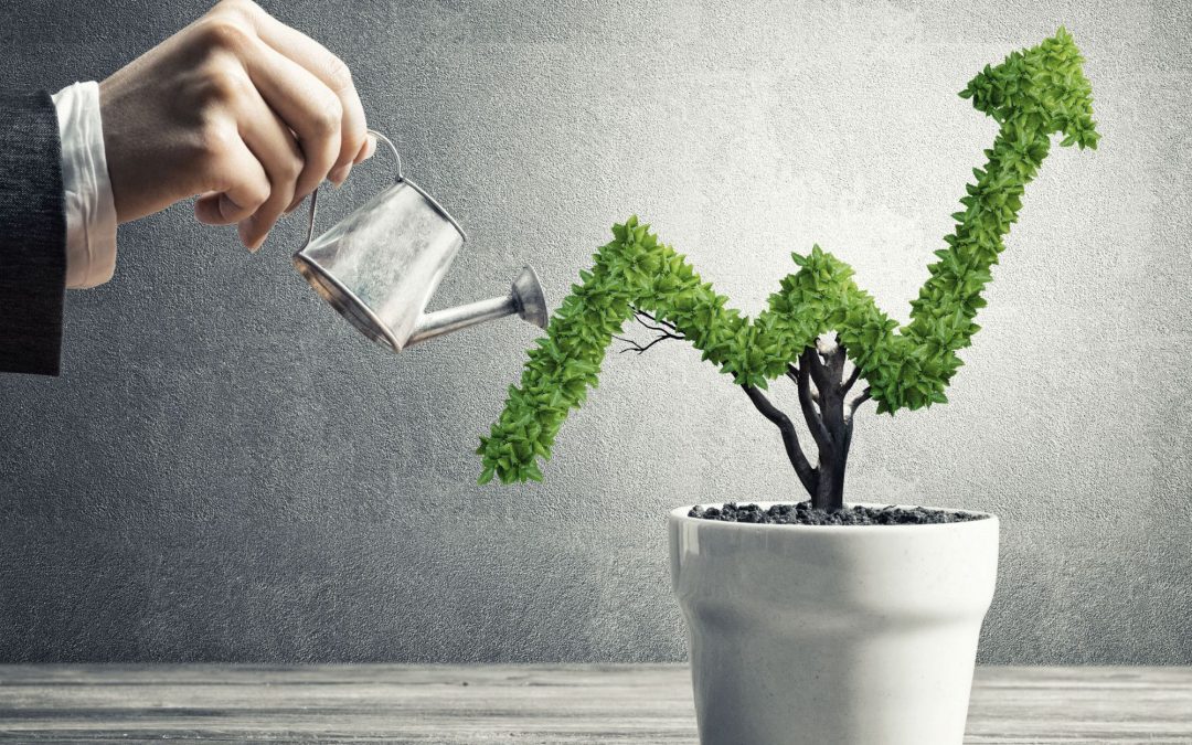 Profit from Auctions: Grow Your Business by Listening to Demand Trends