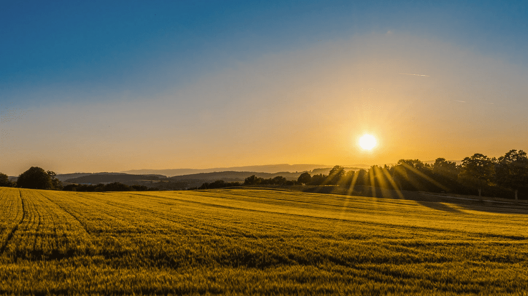 How to Claim Land And Property … For Free!