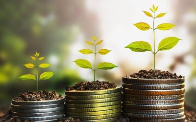 Selling Strategies: High Profit vs. High Volume – Finding the Right Balance