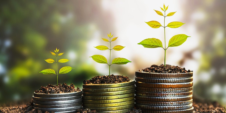 Selling Strategies: High Profit vs. High Volume – Finding the Right Balance