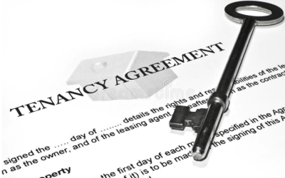 What Are Property Licenses?