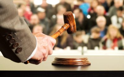 If you like auctions you’ll love Government Auction News!