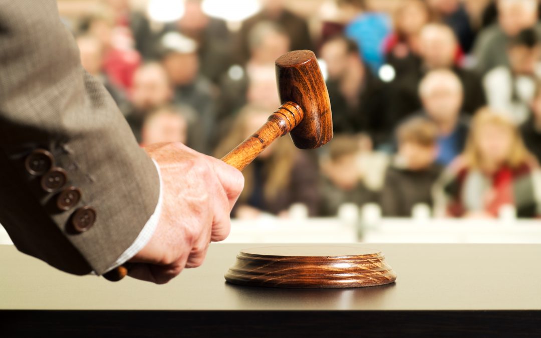 If you like auctions you’ll love Government Auction News!